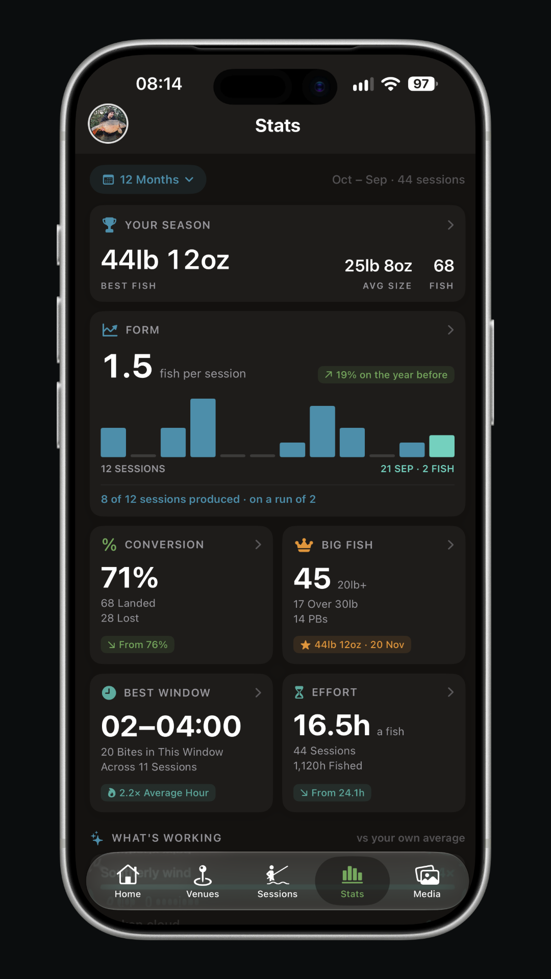 Stats and Goals home
